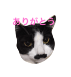 くうたろうスタンプ（個別スタンプ：7）