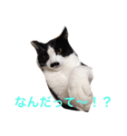 くうたろうスタンプ（個別スタンプ：12）