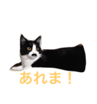 くうたろうスタンプ（個別スタンプ：14）