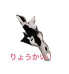 くうたろうスタンプ（個別スタンプ：15）