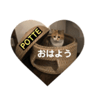 くぅちゃんとなかまたち（個別スタンプ：8）