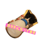 くぅちゃんとなかまたち（個別スタンプ：14）