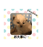くぅちゃんとなかまたち（個別スタンプ：17）