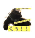 くぅちゃんとなかまたち（個別スタンプ：26）