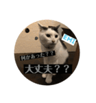 くぅちゃんとなかまたち（個別スタンプ：31）