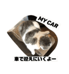 くぅちゃんとなかまたち（個別スタンプ：38）