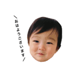こたさん基本のご挨拶（個別スタンプ：1）