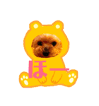 愛イヌ、愛ネコ（個別スタンプ：2）