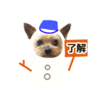 愛イヌ、愛ネコ（個別スタンプ：5）