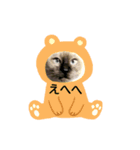 カッツェにしやがれ（個別スタンプ：6）