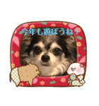 マフィンとポッキーの年賀スタンプ（個別スタンプ：8）