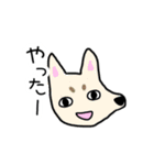 おしゃべり上手な動物たち（個別スタンプ：22）