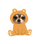 muffinとpockyのくらし☺︎（個別スタンプ：2）