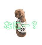 muffinとpockyのくらし☺︎（個別スタンプ：5）
