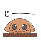 まんまる犬のふわん（個別スタンプ：19）