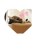グミちゃんスタンプ1（個別スタンプ：3）