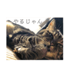 グミちゃんスタンプ1（個別スタンプ：5）
