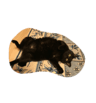 黒猫 みぃーたん②（個別スタンプ：8）