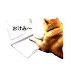 らっきーらっきー（個別スタンプ：1）
