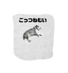 らっきーらっきー（個別スタンプ：5）