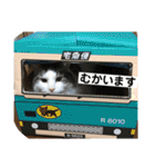 チップとココナッツのスタンプ（個別スタンプ：6）