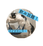 チップとココナッツのスタンプ（個別スタンプ：35）