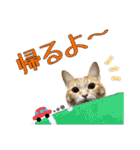 茶トラのモナカの日常スタンプ♡（個別スタンプ：5）