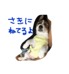 ポトポト2（個別スタンプ：2）