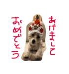 ポトポト2（個別スタンプ：3）