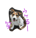ポトポト2（個別スタンプ：4）
