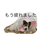 ポトポト2（個別スタンプ：5）