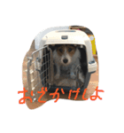 ポトポト2（個別スタンプ：10）