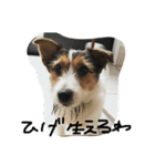 ポトポト2（個別スタンプ：11）
