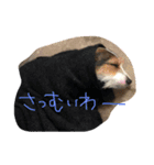 ポトポト2（個別スタンプ：13）