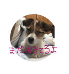 ポトポト2（個別スタンプ：14）