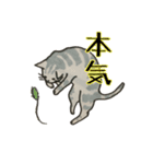 美しい言葉の猫（個別スタンプ：1）
