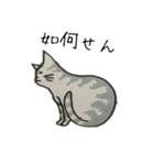 美しい言葉の猫（個別スタンプ：2）