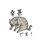 美しい言葉の猫（個別スタンプ：4）