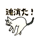 美しい言葉の猫（個別スタンプ：7）