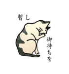 美しい言葉の猫（個別スタンプ：13）