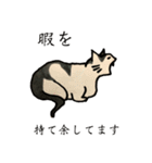 美しい言葉の猫（個別スタンプ：15）