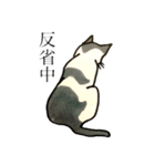 美しい言葉の猫（個別スタンプ：16）