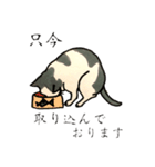 美しい言葉の猫（個別スタンプ：17）