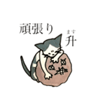 美しい言葉の猫（個別スタンプ：18）