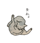 美しい言葉の猫（個別スタンプ：19）