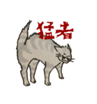 美しい言葉の猫（個別スタンプ：20）