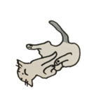 美しい言葉の猫（個別スタンプ：22）
