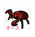 どうもすいません、セミソーリー（個別スタンプ：8）
