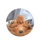 まるさんのいちにち（個別スタンプ：7）