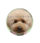 まるさんのいちにち（個別スタンプ：8）